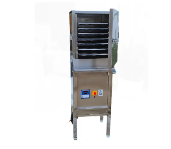 Induction Idly Steamer Box